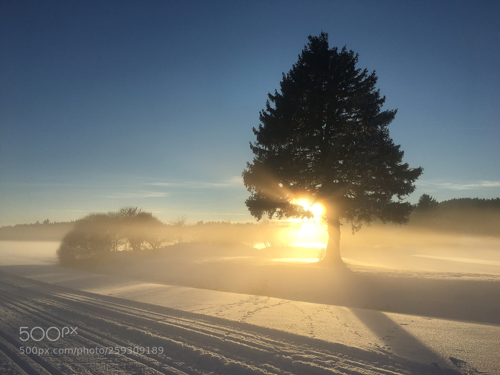 Apple iPhone 6s sample photo. Cross country skiing  photography