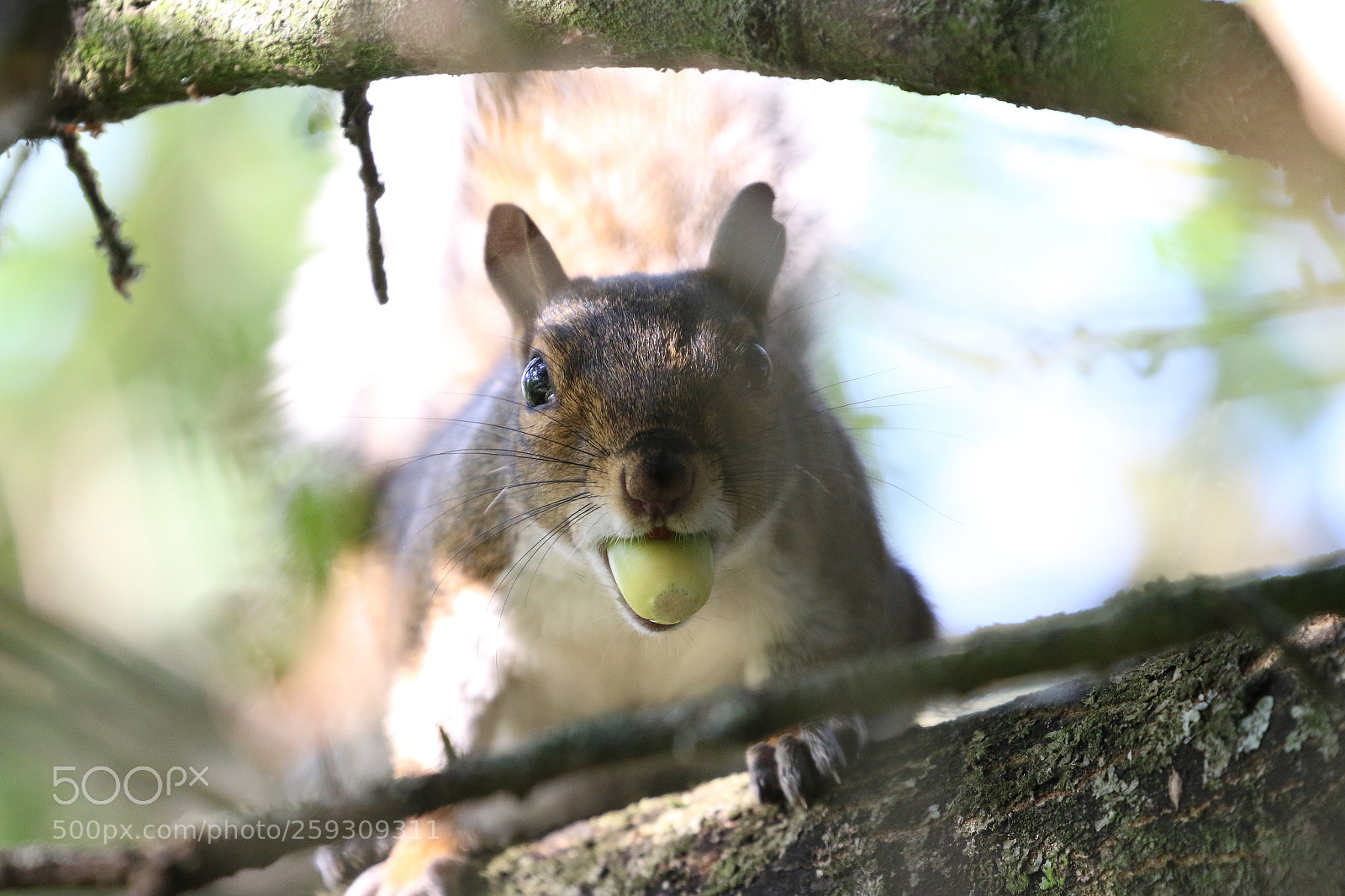 Canon EOS 70D sample photo. Untitled photography