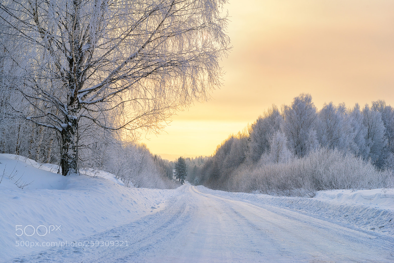 Nikon D610 sample photo. 929. the road to photography