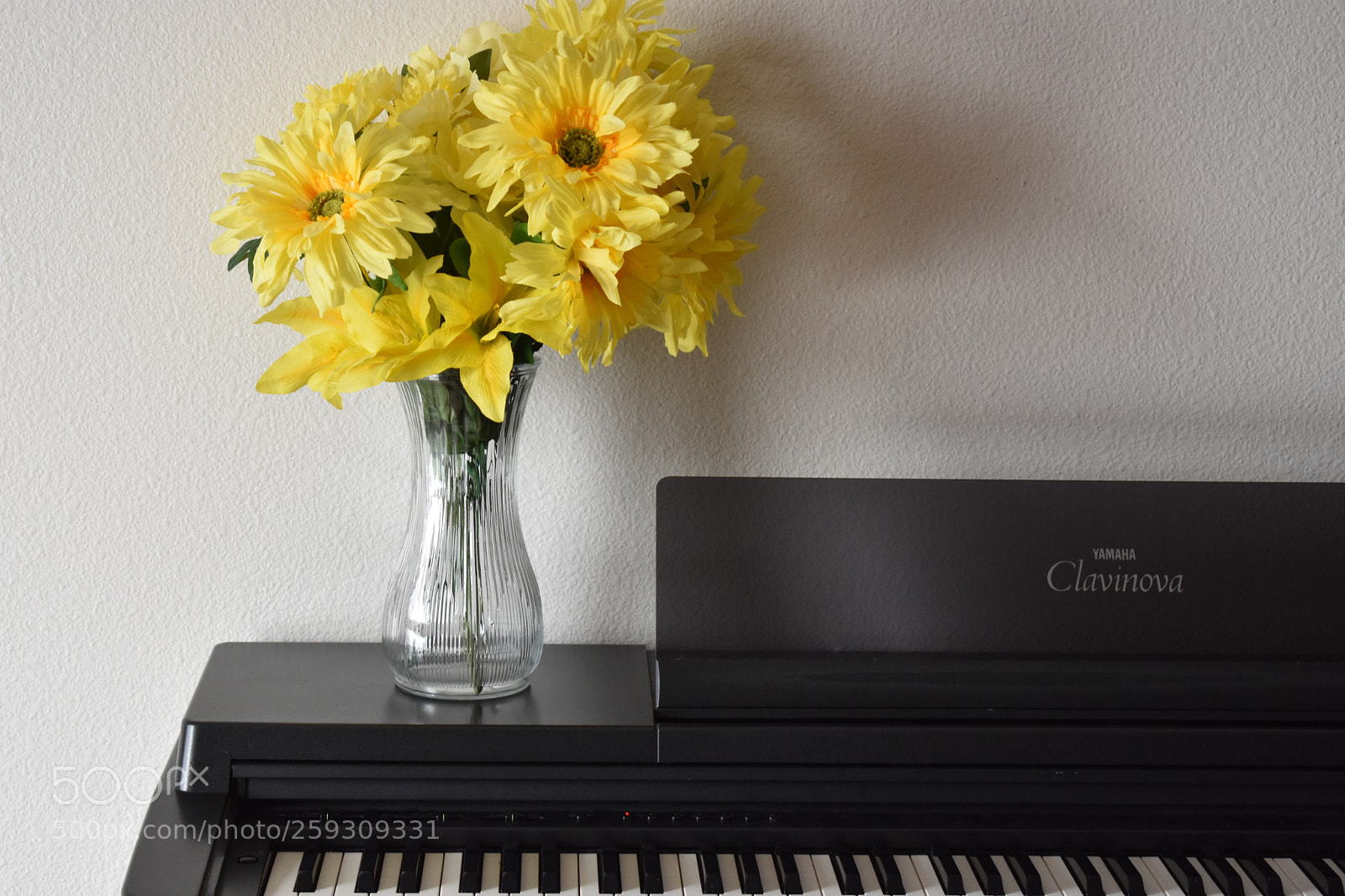 Nikon D3400 sample photo. Still piano photography