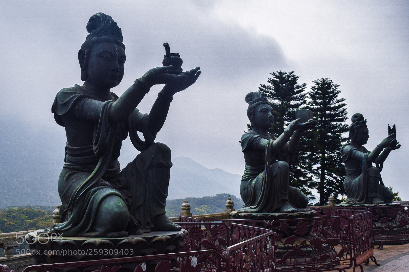 Nikon D5300 sample photo. Offering of the six photography