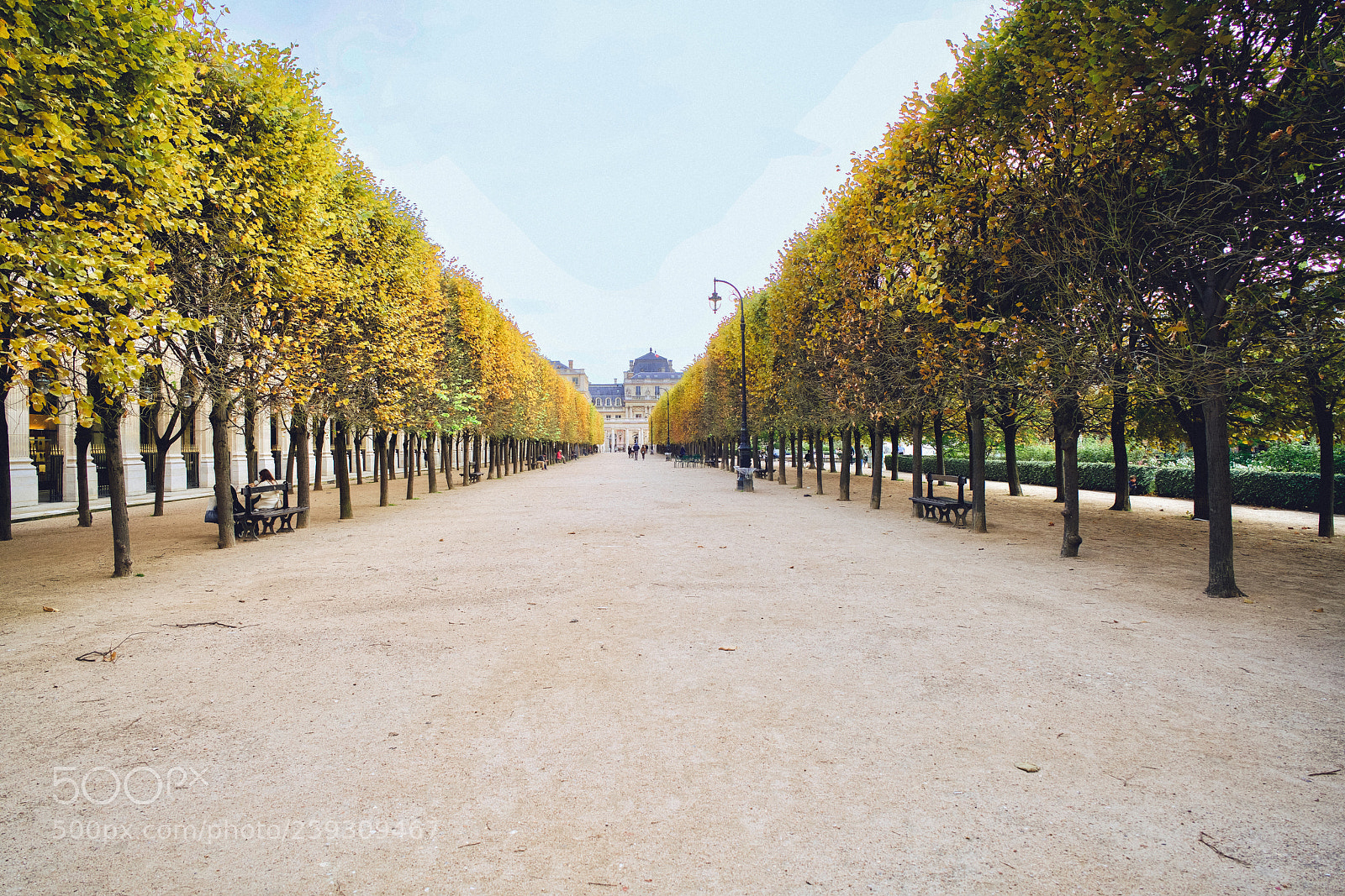 Sony a7R II sample photo. Springtime in paris photography