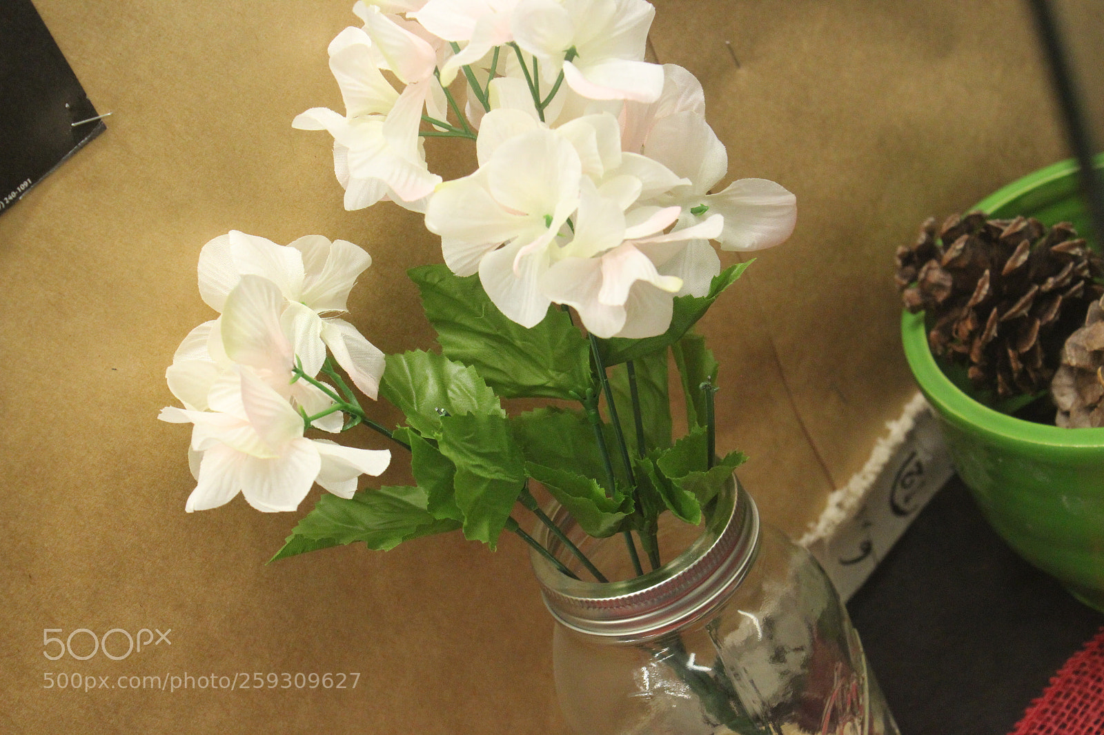 Canon EOS 1200D (EOS Rebel T5 / EOS Kiss X70 / EOS Hi) sample photo. Untitled photography