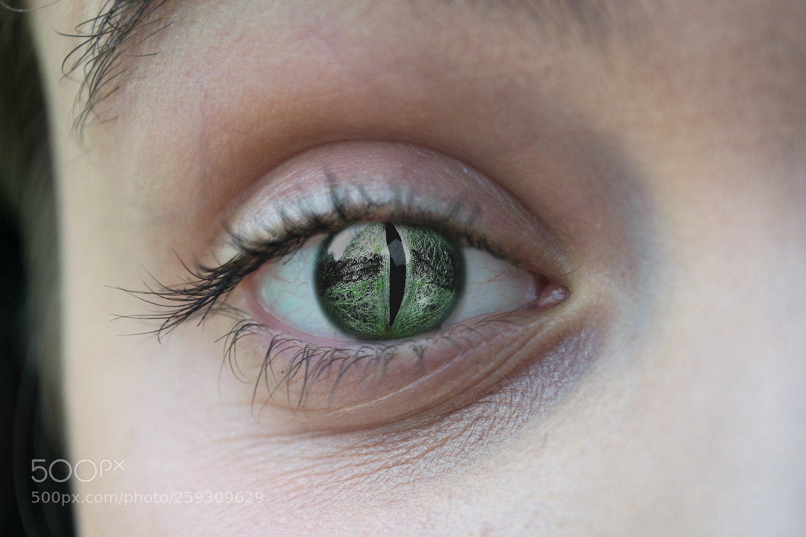 Nikon D3100 sample photo. Digital munipulation photography