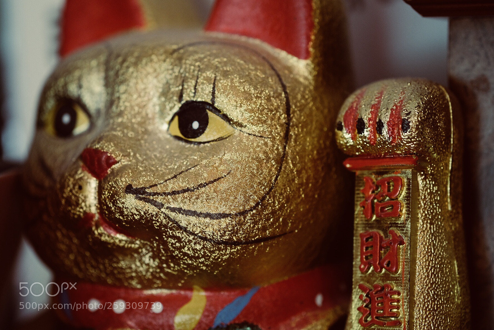 Fujifilm X-T20 sample photo. Maneki-neko photography