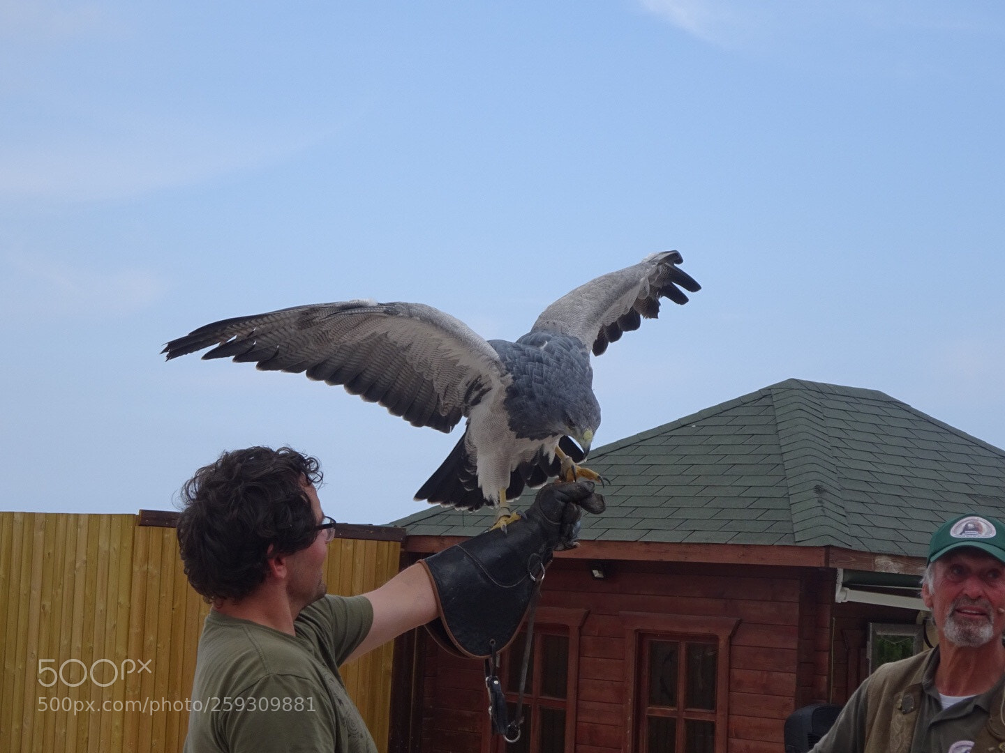 Sony Cyber-shot DSC-WX350 sample photo. Blue eagle photography