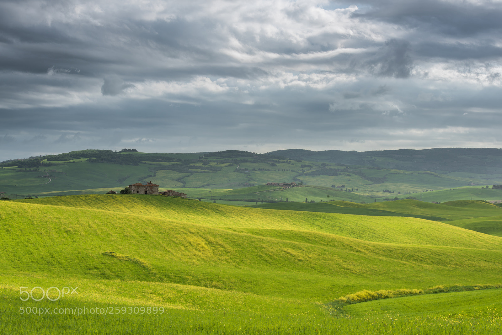 Nikon D810 sample photo. The old farm photography