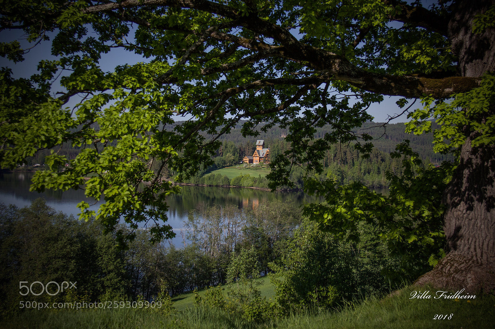 Canon EOS 60D sample photo. Fairytale photography