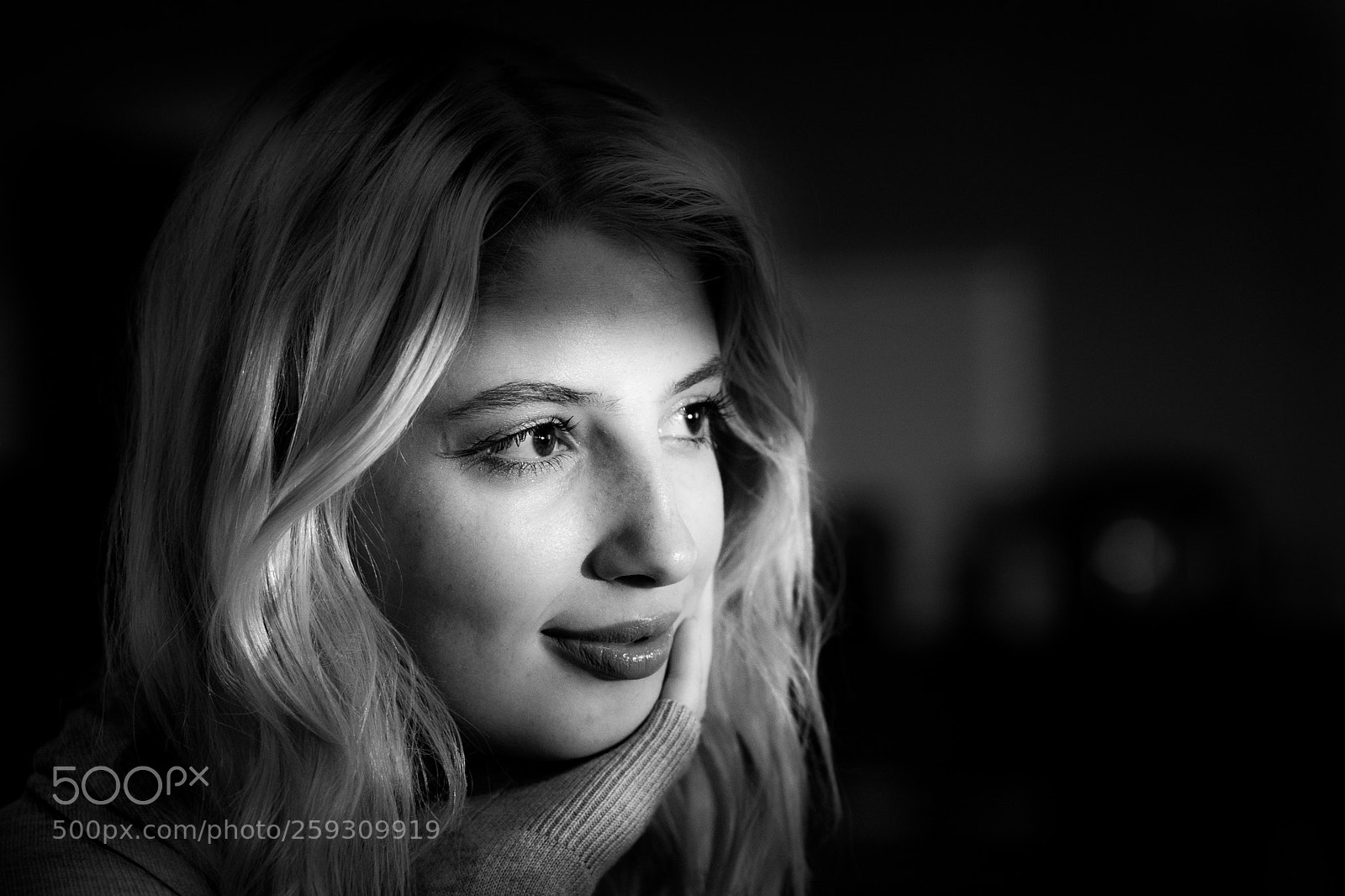 Nikon D7500 sample photo. Sydney1 photography