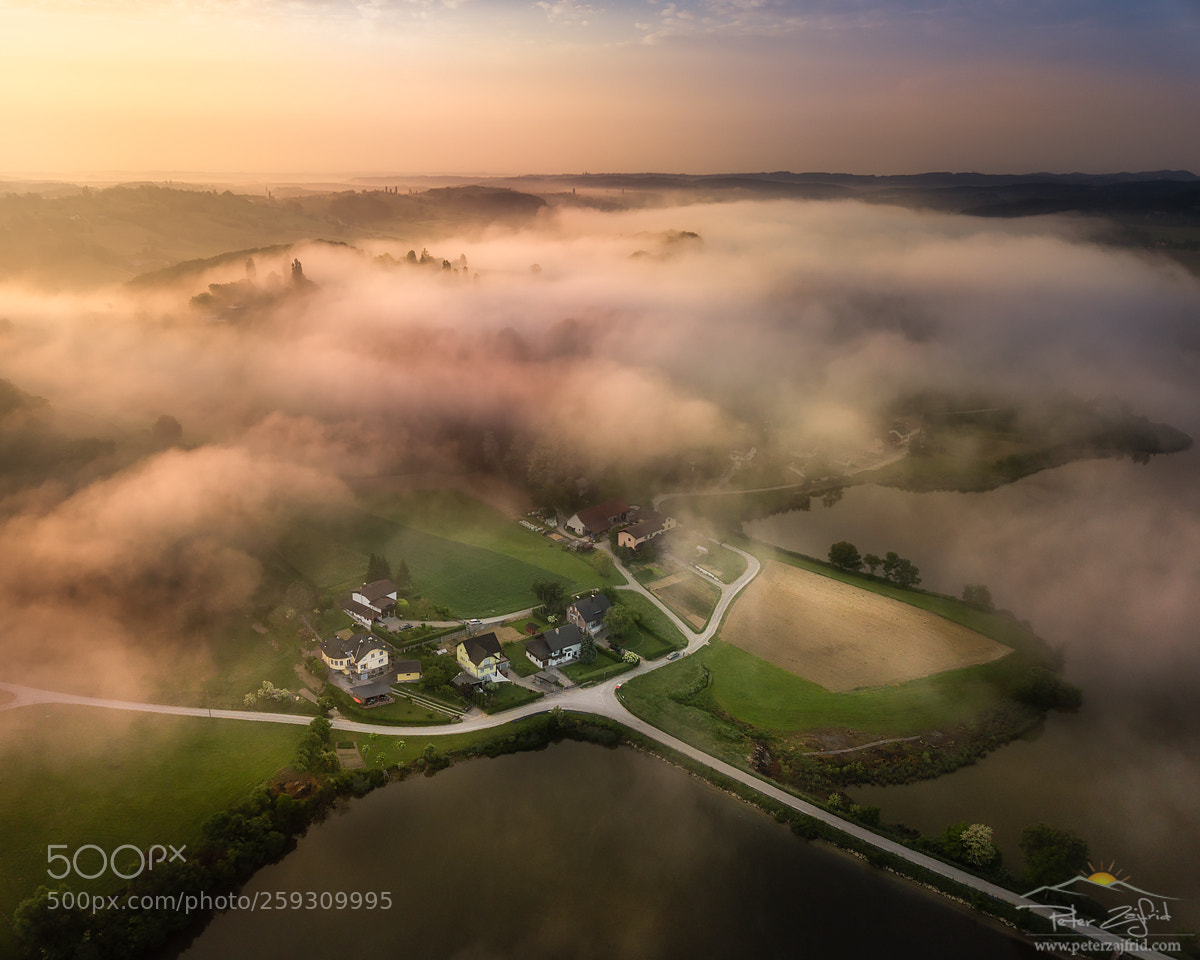 DJI FC220 sample photo. Under the fog photography