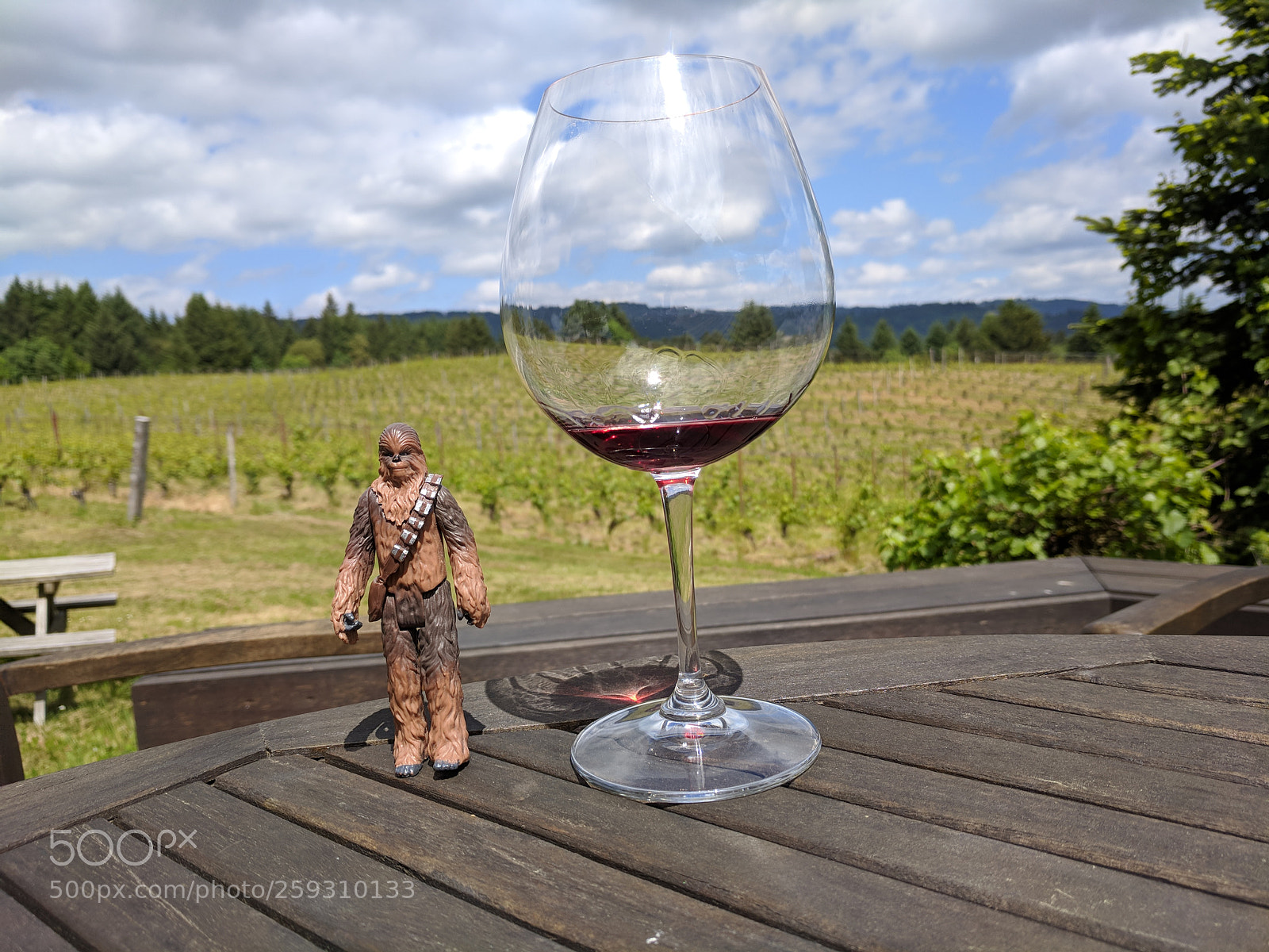 Google Pixel sample photo. Wine and wookie photography