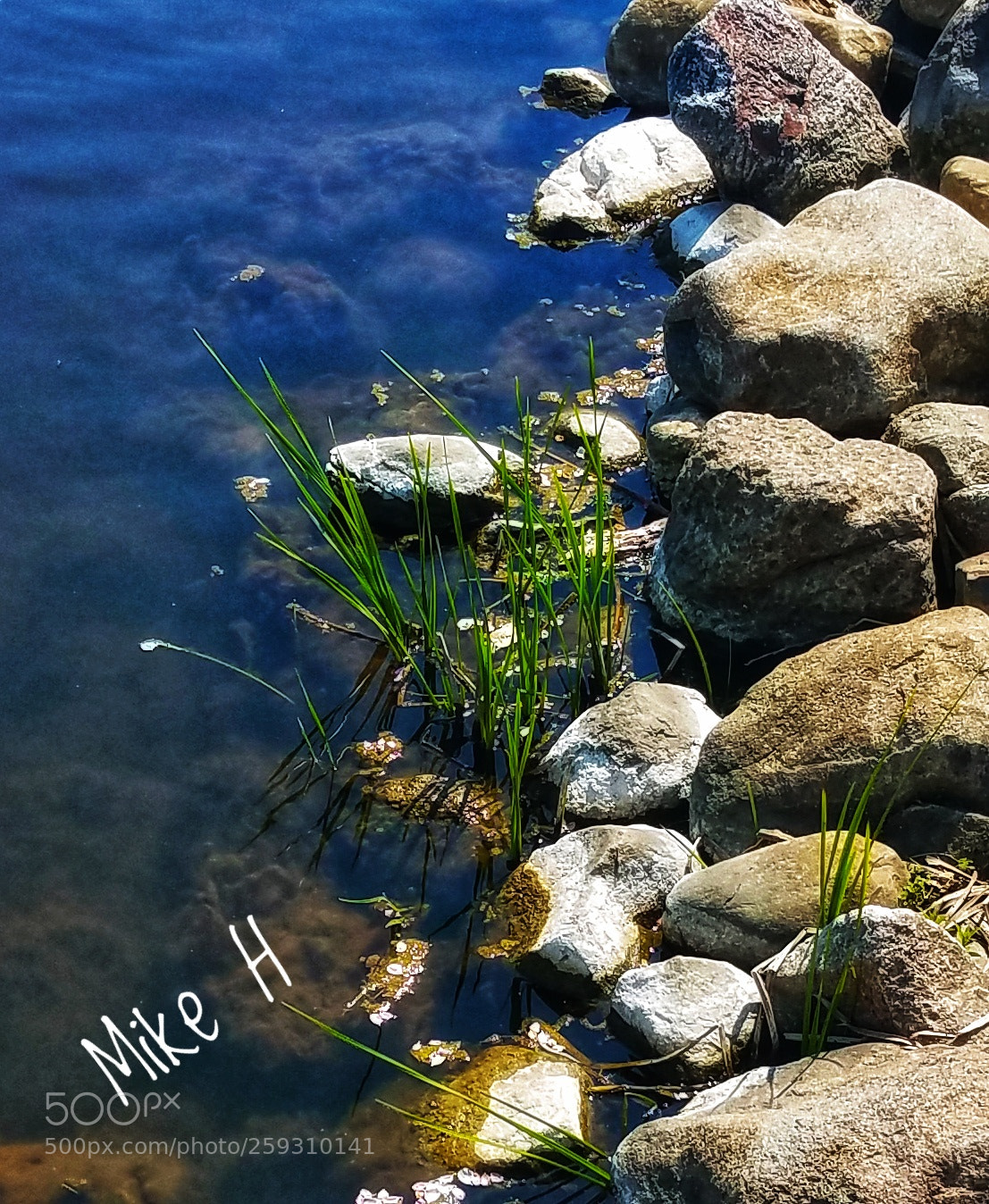 Samsung Galaxy S7 sample photo. Untitled photography