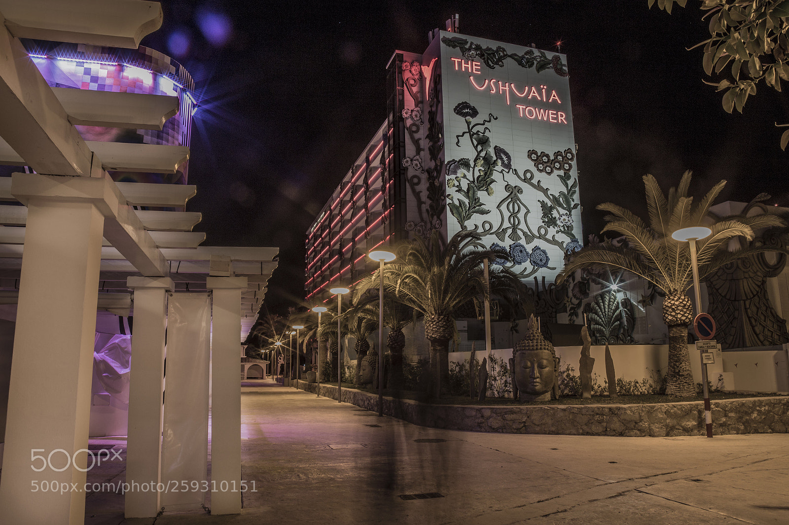Canon EOS 6D sample photo. #night photography