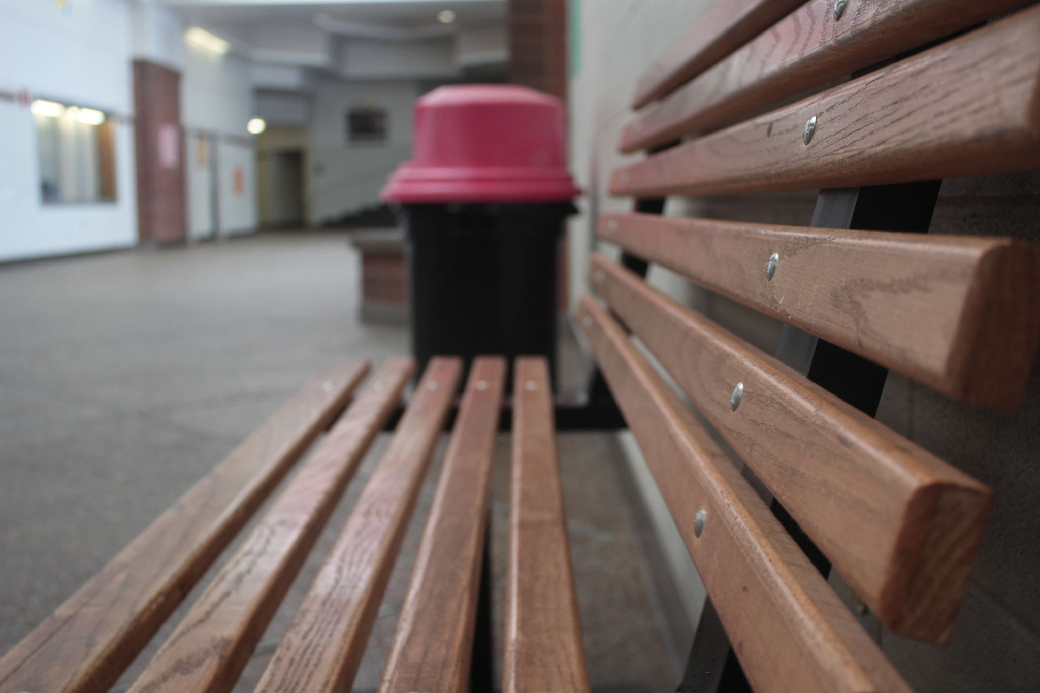 Canon EF-S 18-55mm F3.5-5.6 IS sample photo. Bench photography