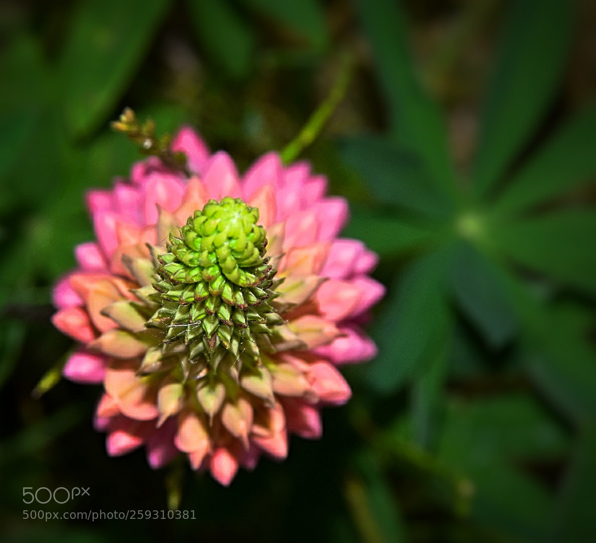 Nikon D5300 sample photo. Von oben! photography