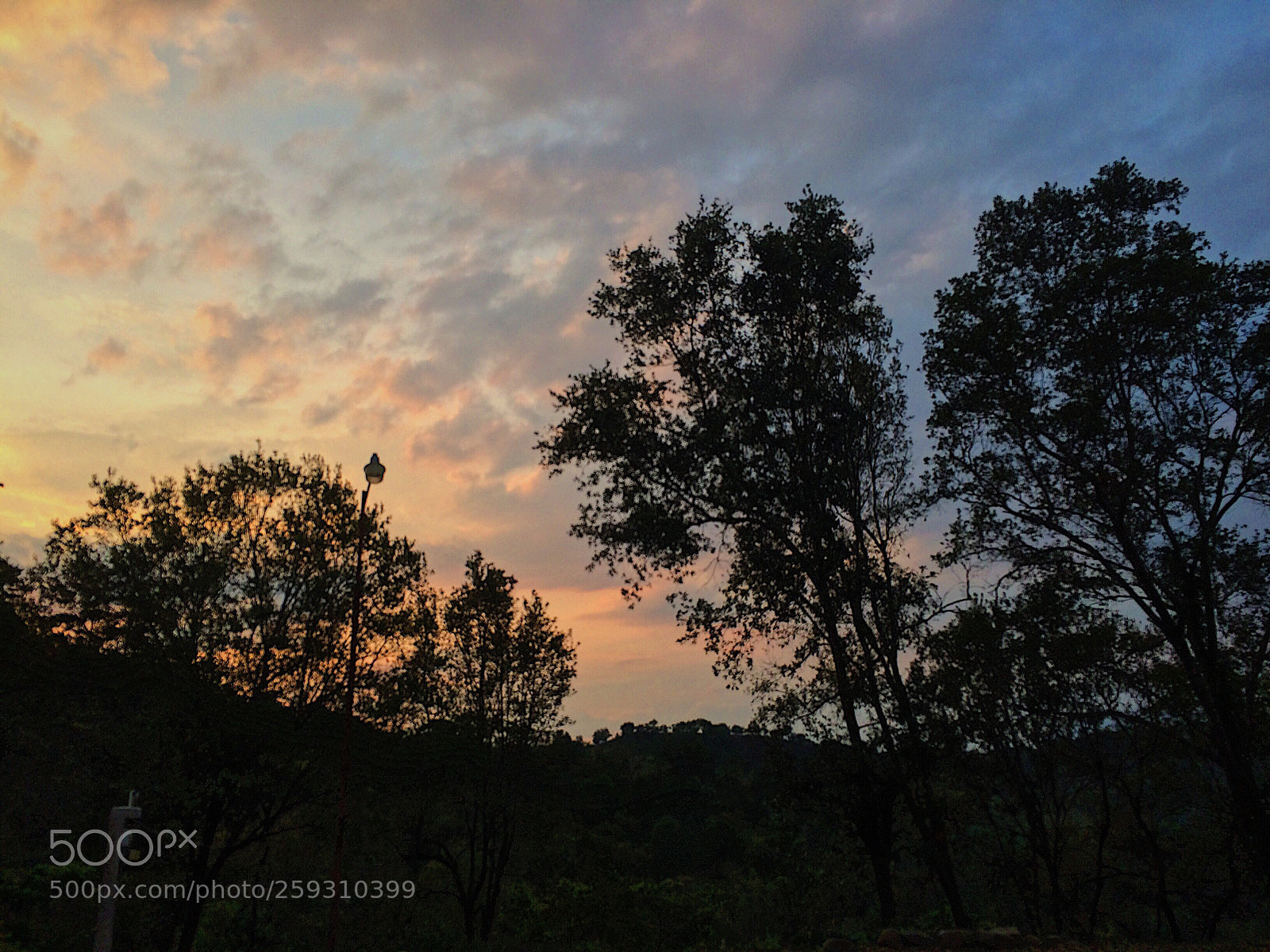 Apple iPhone 5s sample photo. ? photography