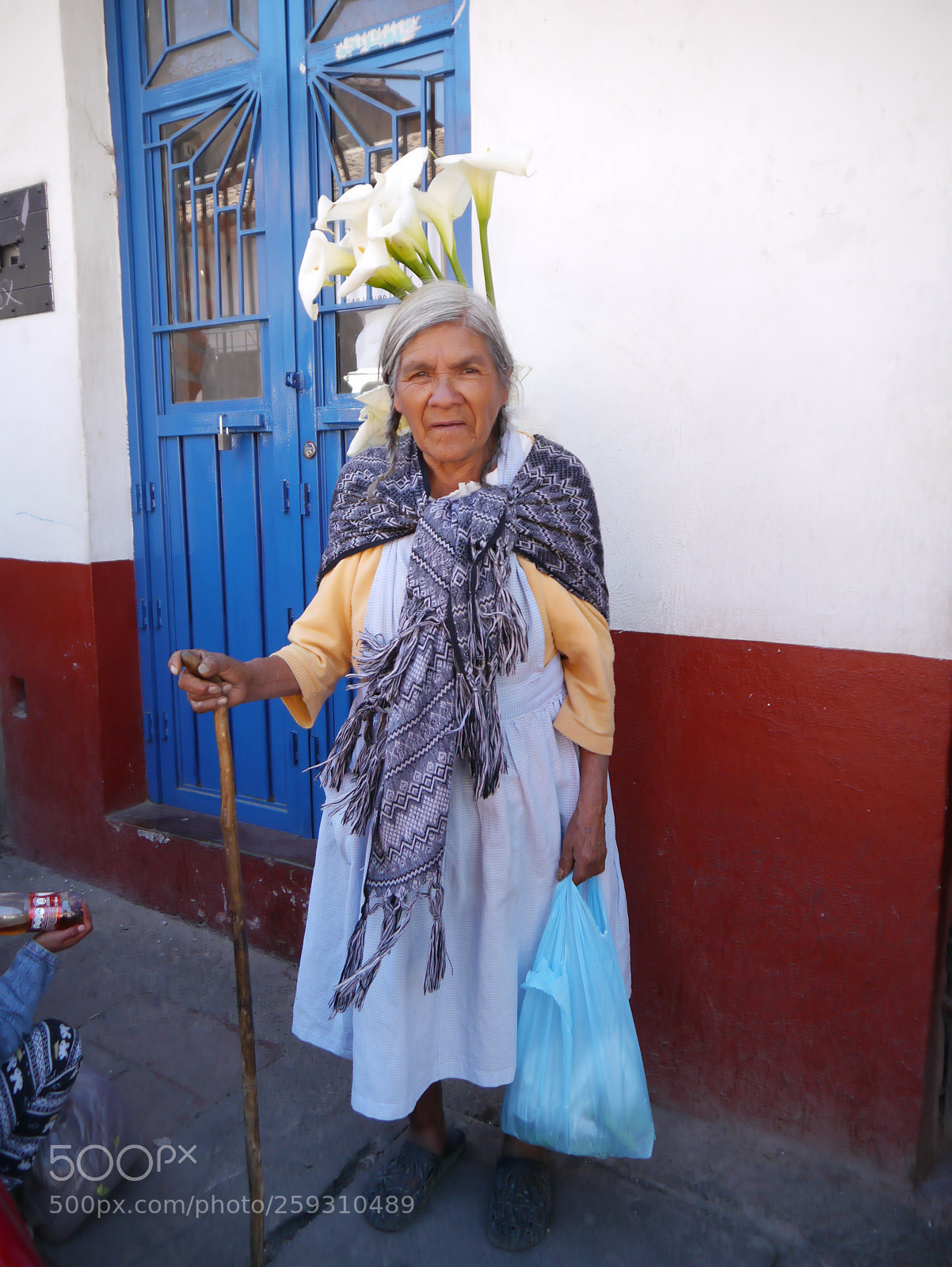 Panasonic Lumix DMC-G3 sample photo. Señora con alcatraces photography