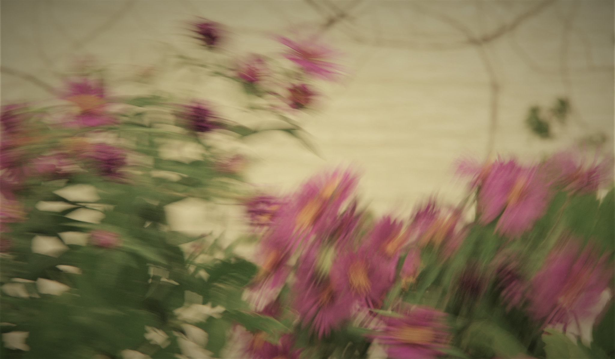 Pentax K-3 sample photo. Blurry photography