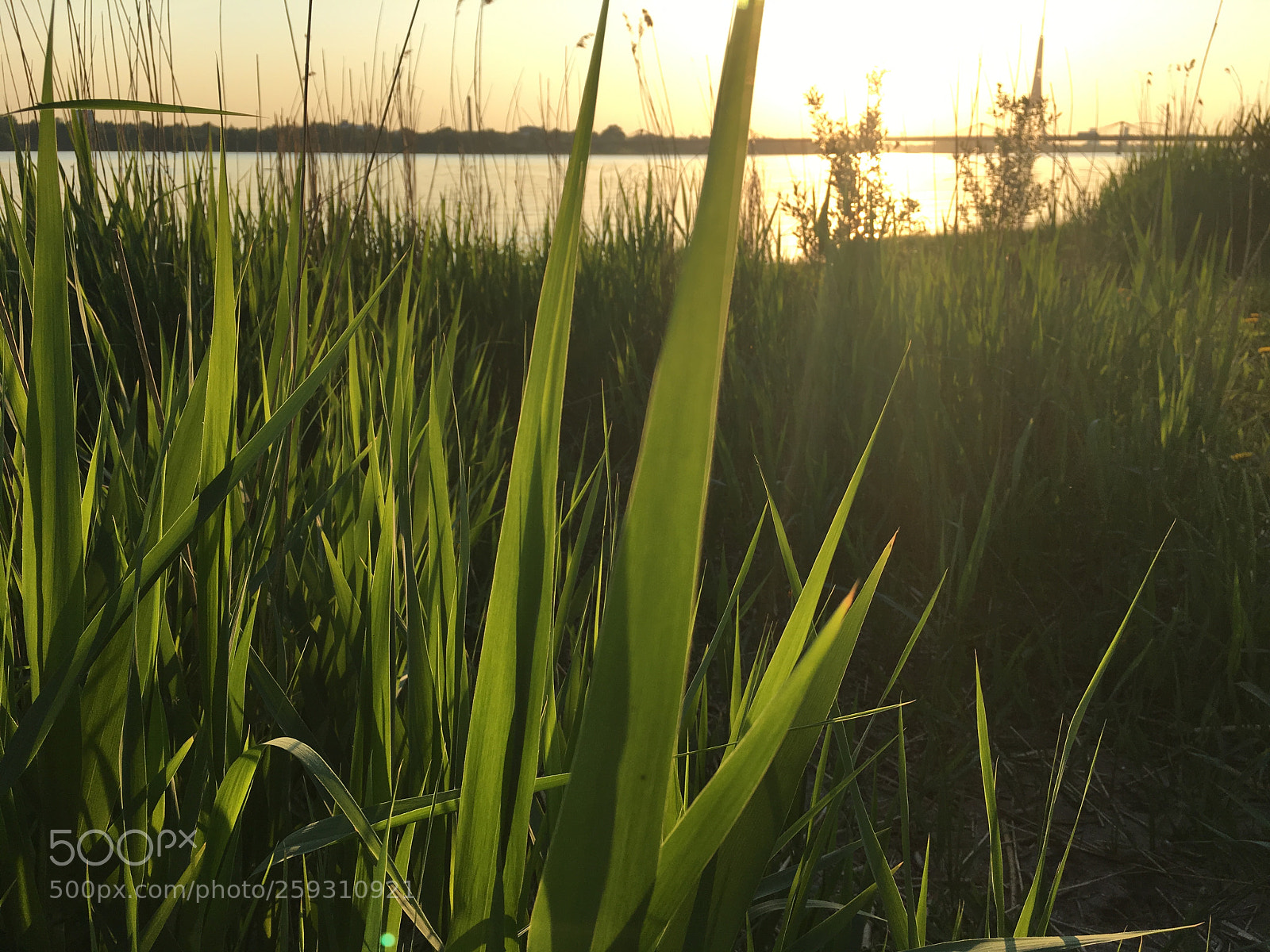 Apple iPhone 6s sample photo. Sunset in riga photography