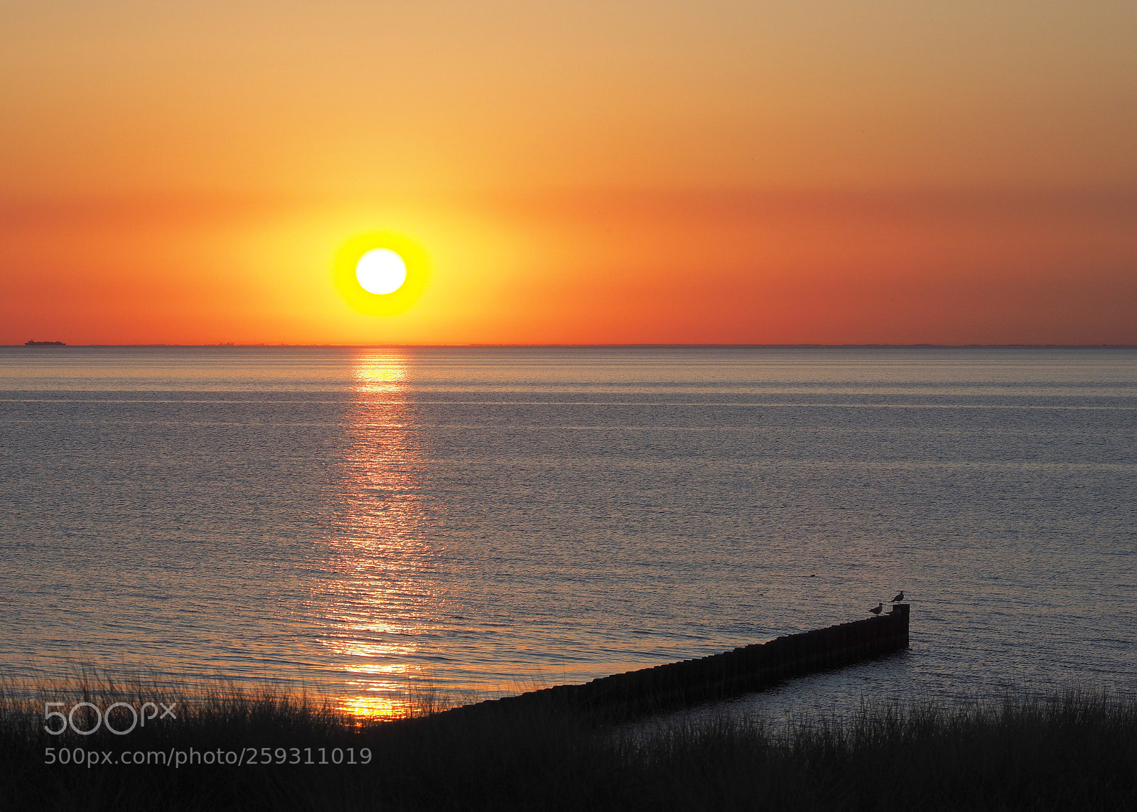 Olympus PEN-F sample photo. Sunset ahrenshoop photography