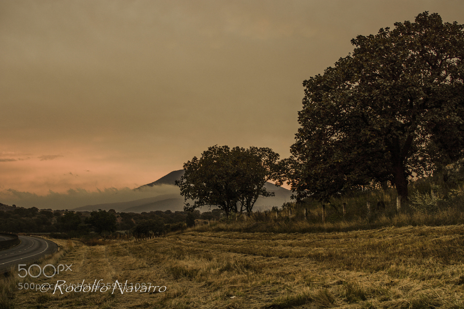 Nikon D7100 sample photo. Untitled photography