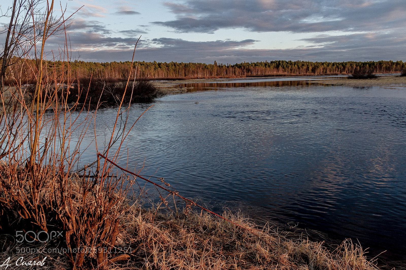 Canon EOS 7D sample photo. Evening photography