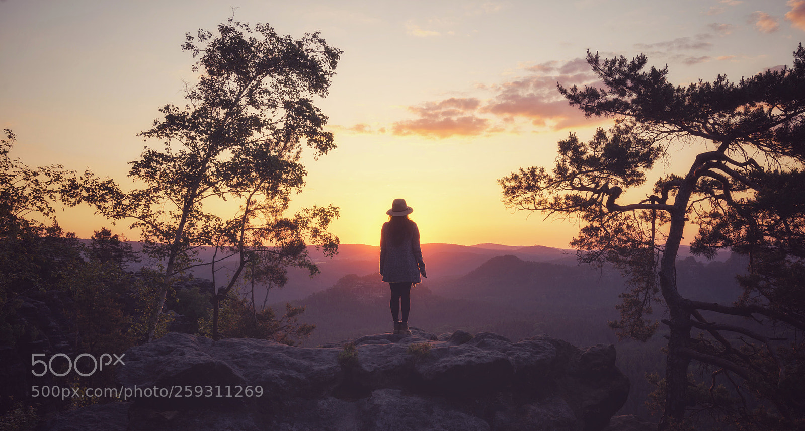 Sony a7R sample photo. The early bird catches photography