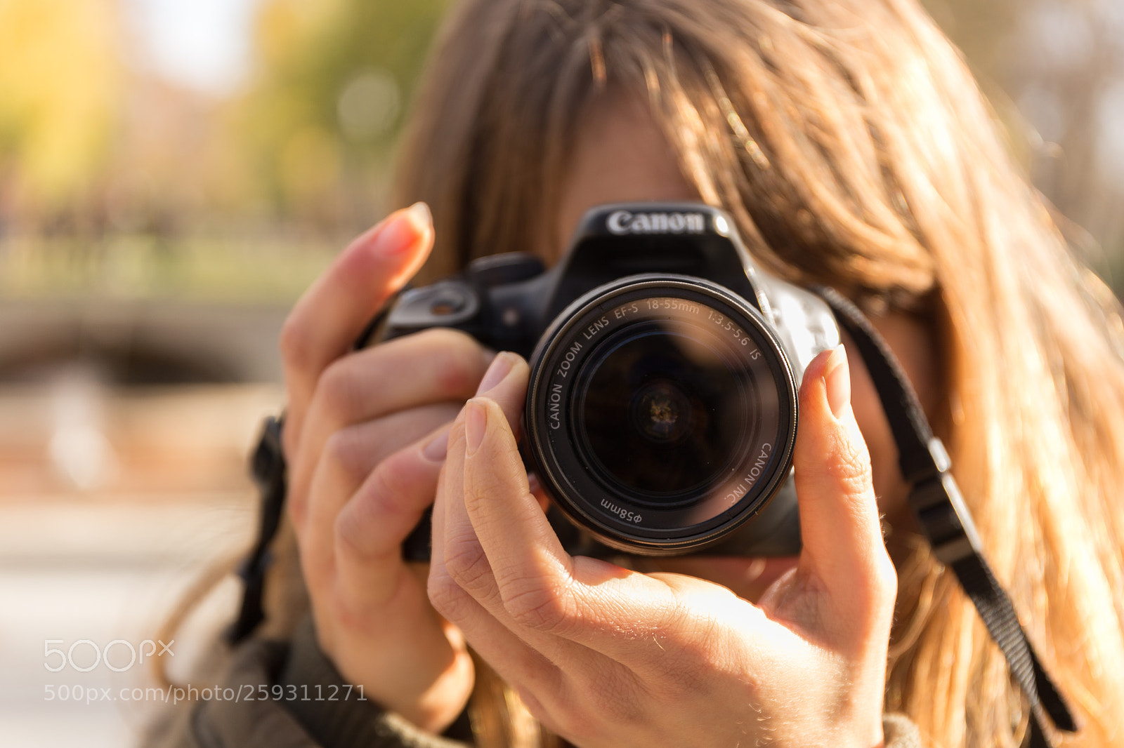 Canon EOS 6D sample photo. Focused photography