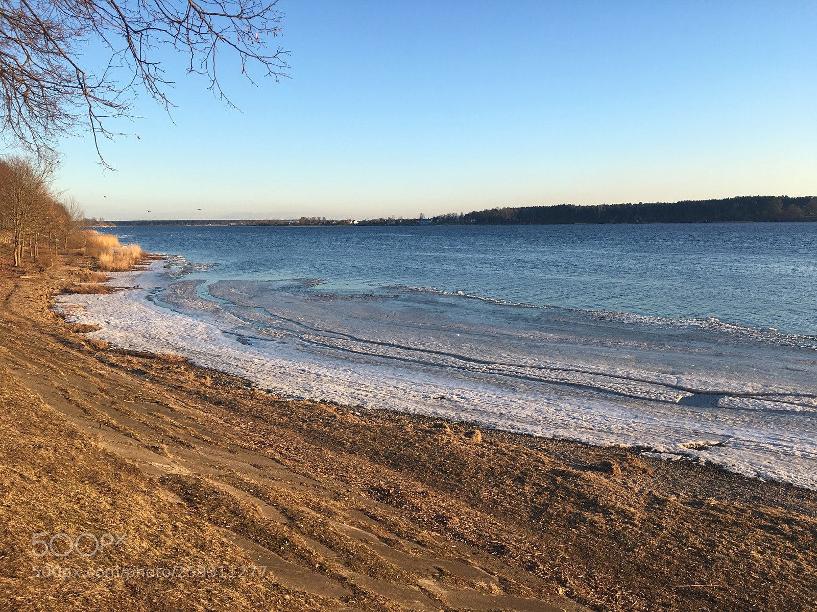 Apple iPhone 6s sample photo. Nature in riga, latvia photography