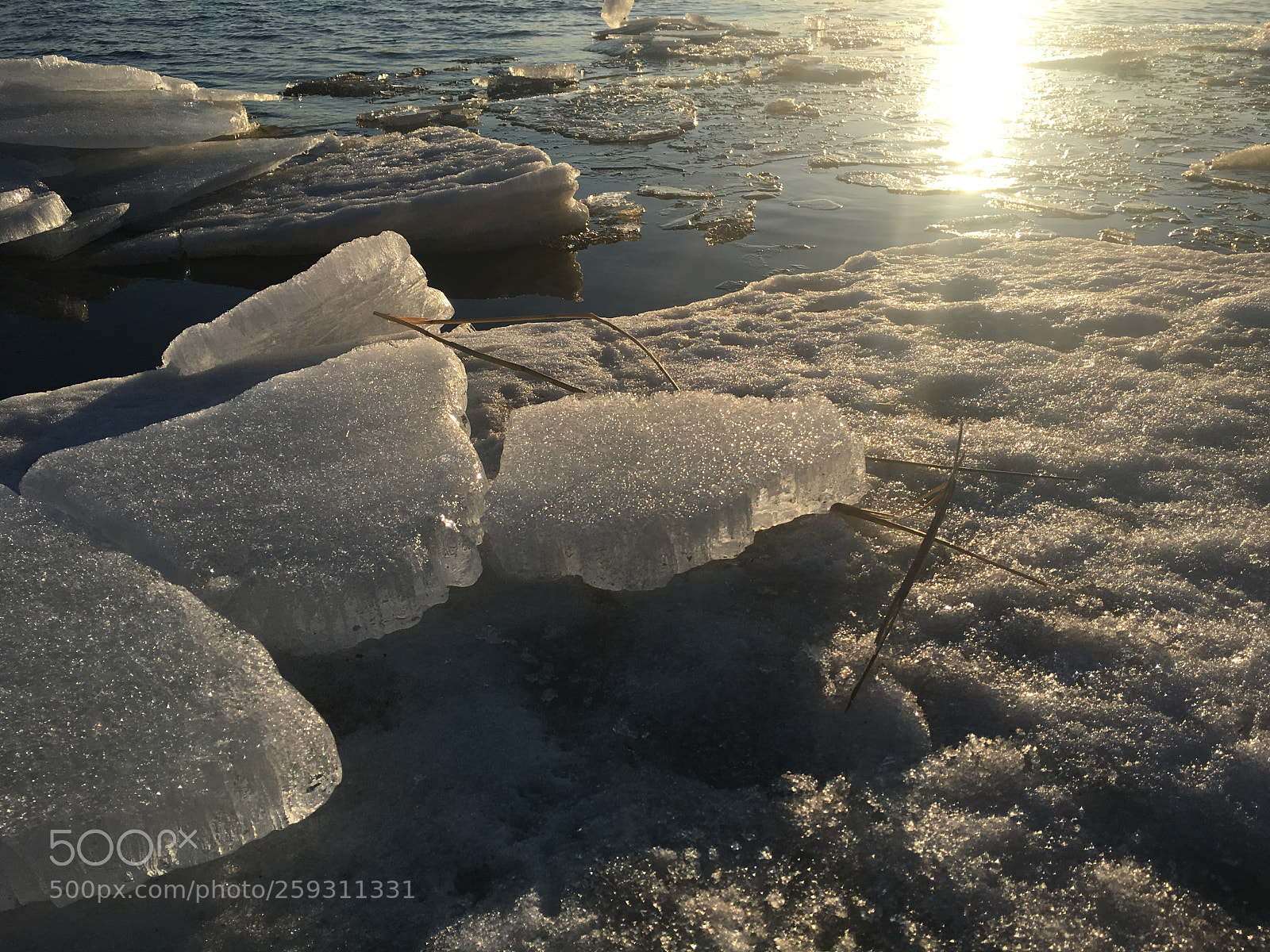 Apple iPhone 6s sample photo. Ice in riga photography