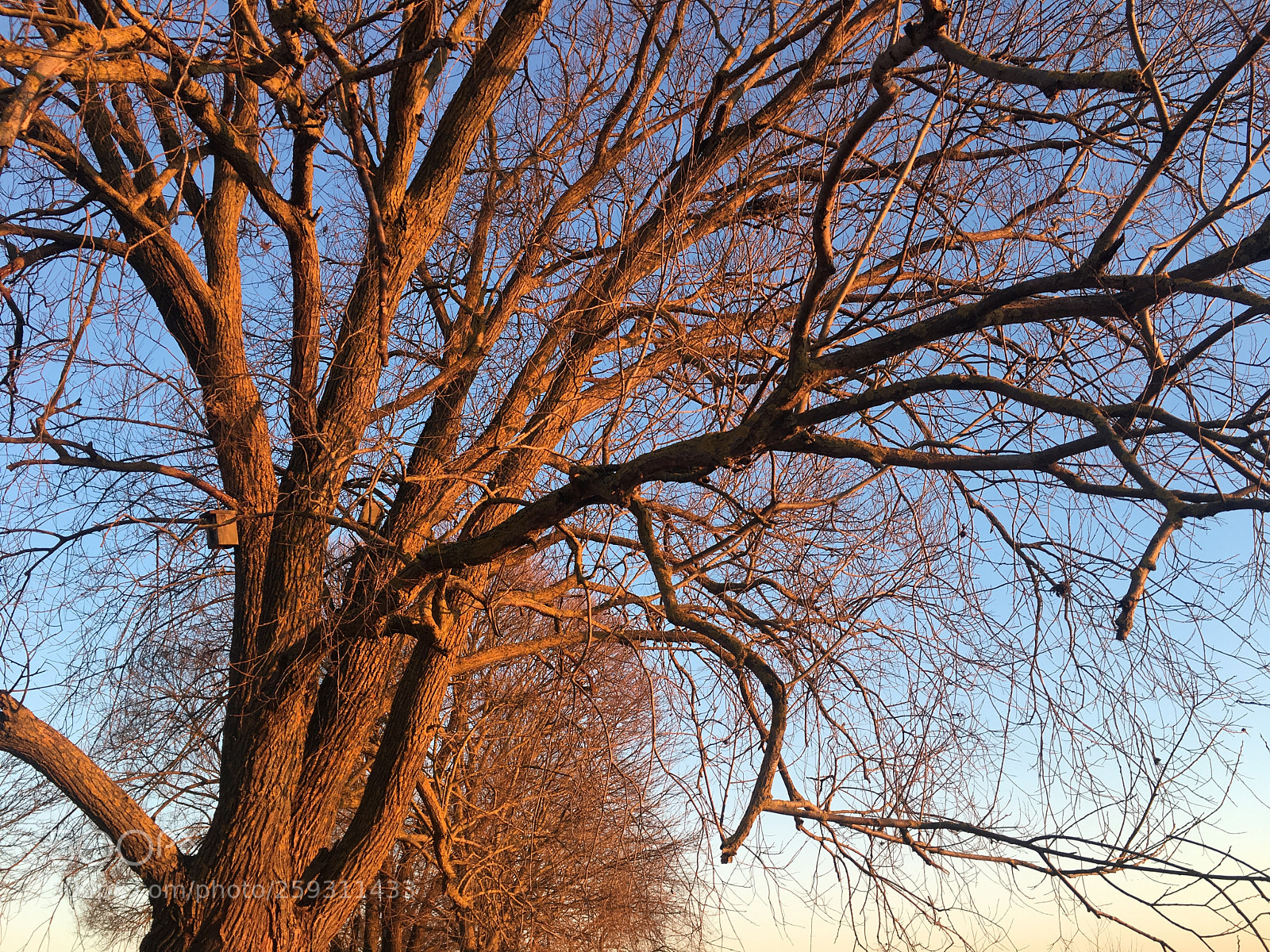 Apple iPhone 6s sample photo. Nature in latvia photography
