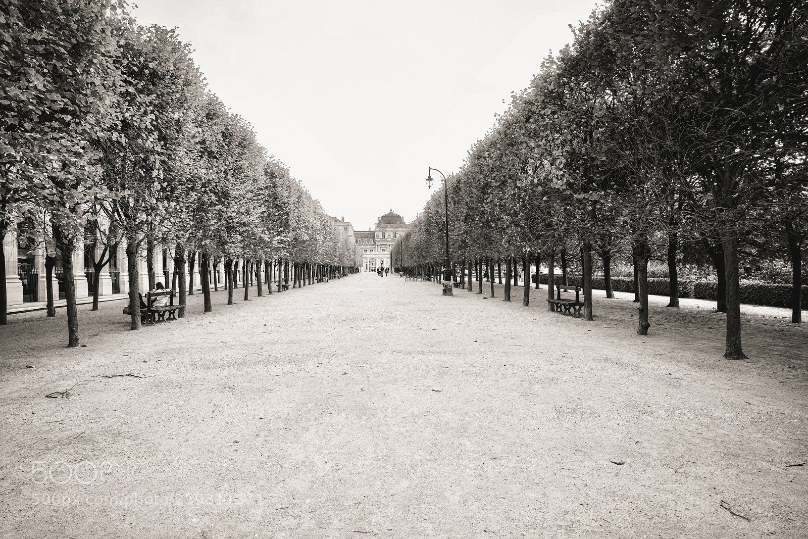 Sony a7R II sample photo. Paris boulevard photography