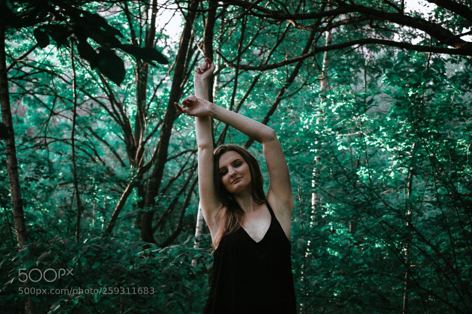 Nikon D5300 sample photo. Untitled photography