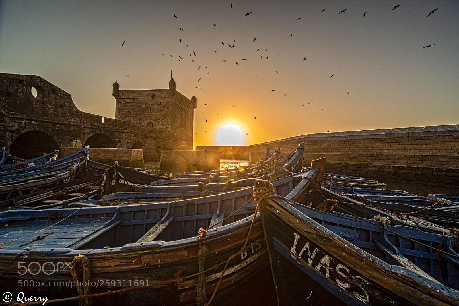 Nikon D7100 sample photo. Essaouira; amarradas photography