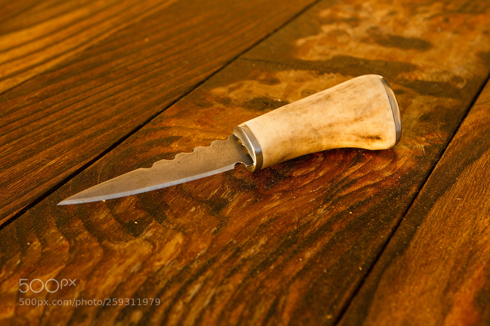Canon EOS 7D sample photo. The stubby stabber photography