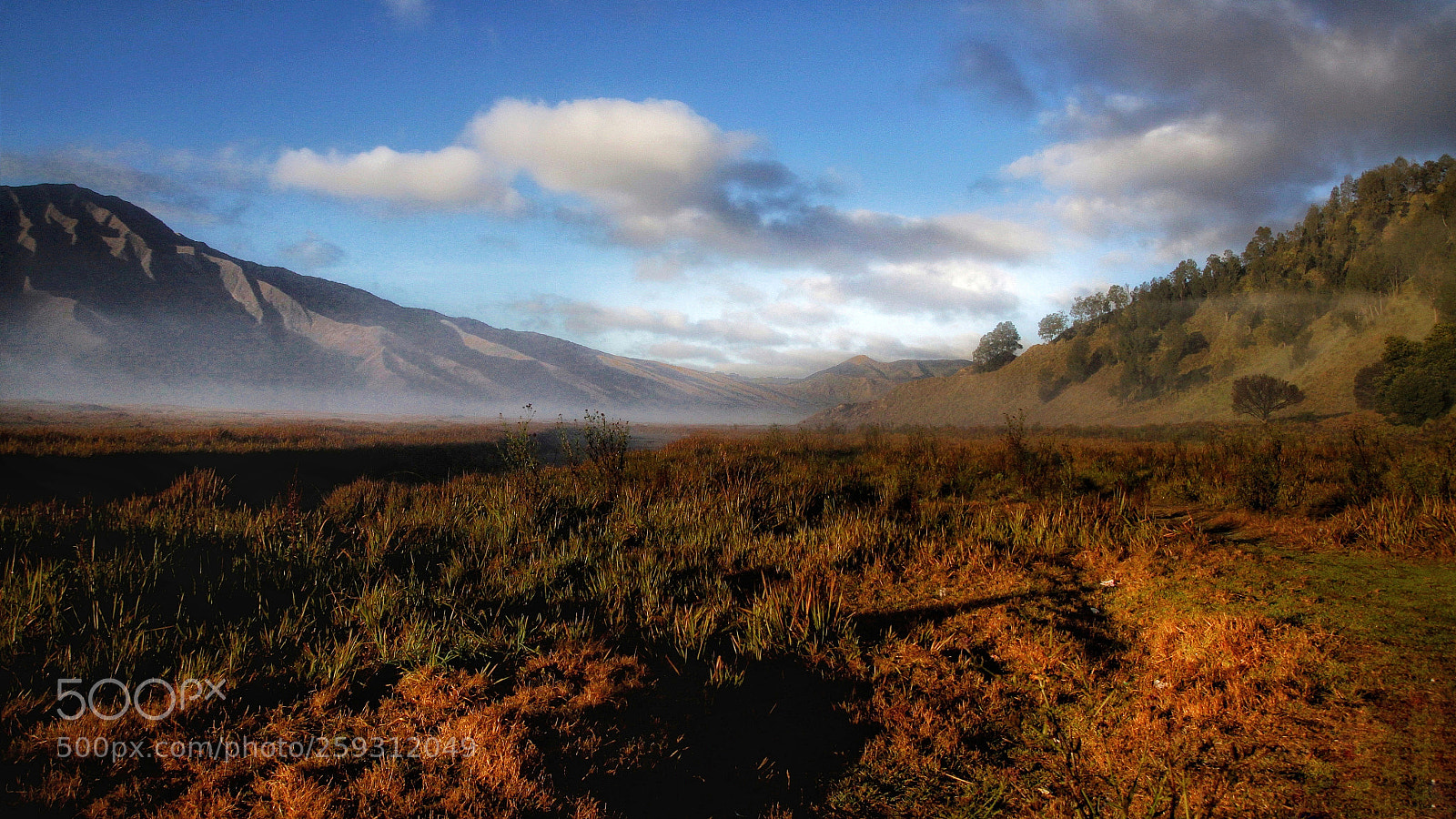 Canon EOS 50D sample photo. Morning day in bromo photography
