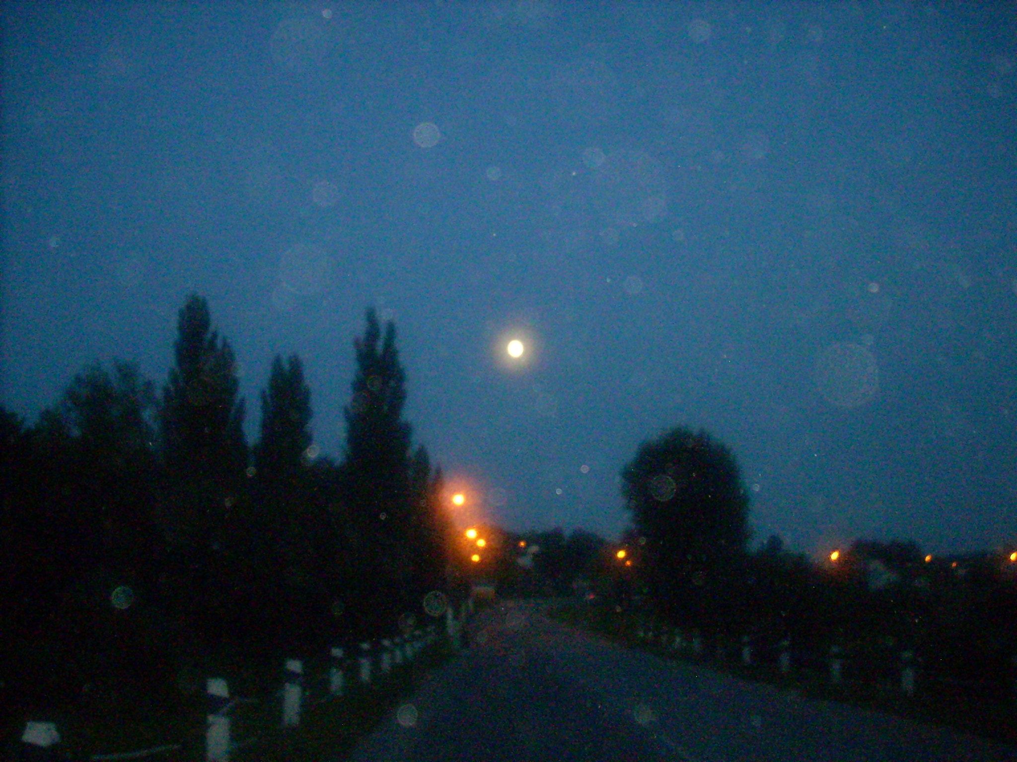Nikon COOLPIX L10 sample photo. ддддддд photography