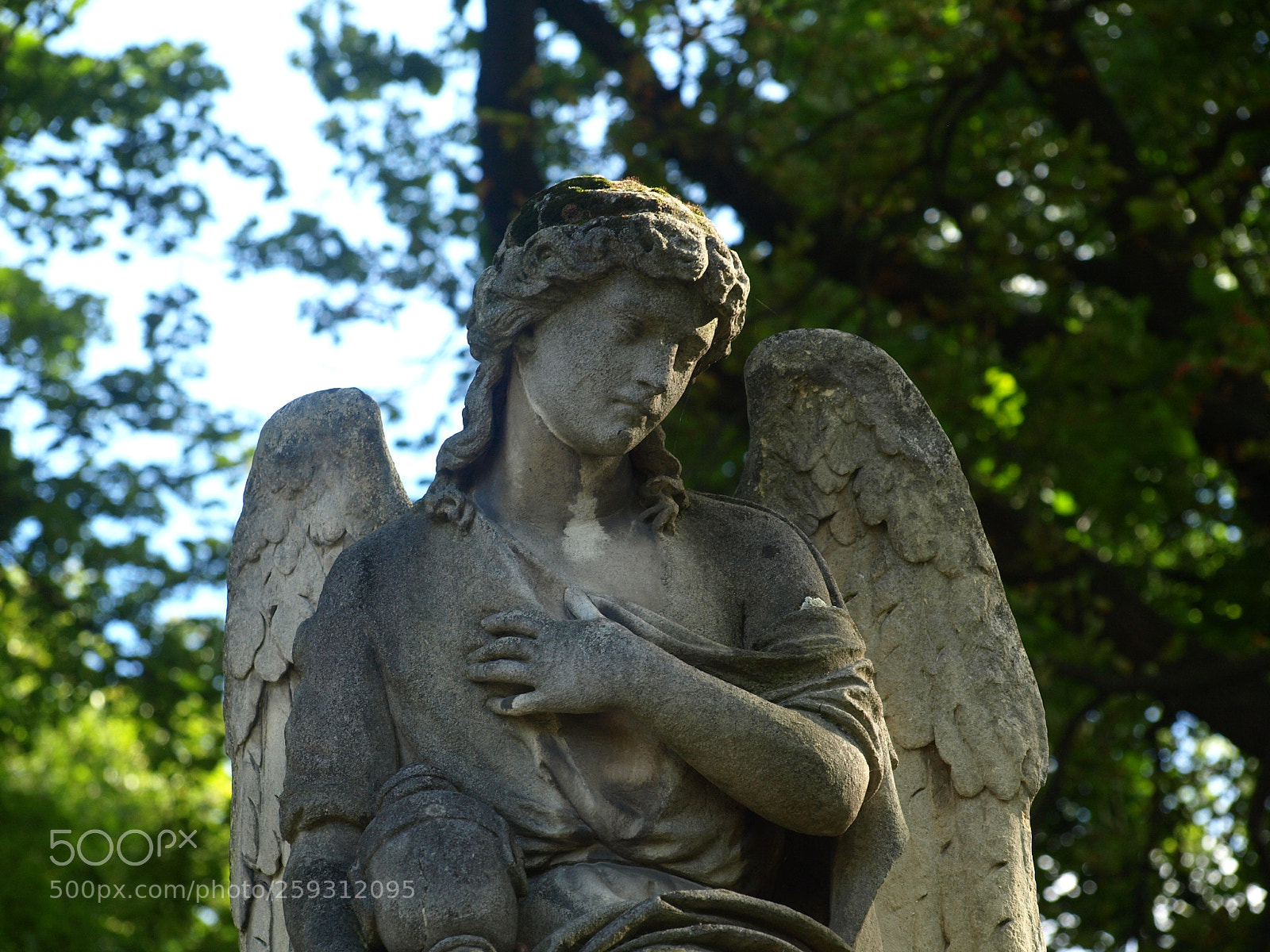 Olympus E-510 (EVOLT E-510) sample photo. Angel photography