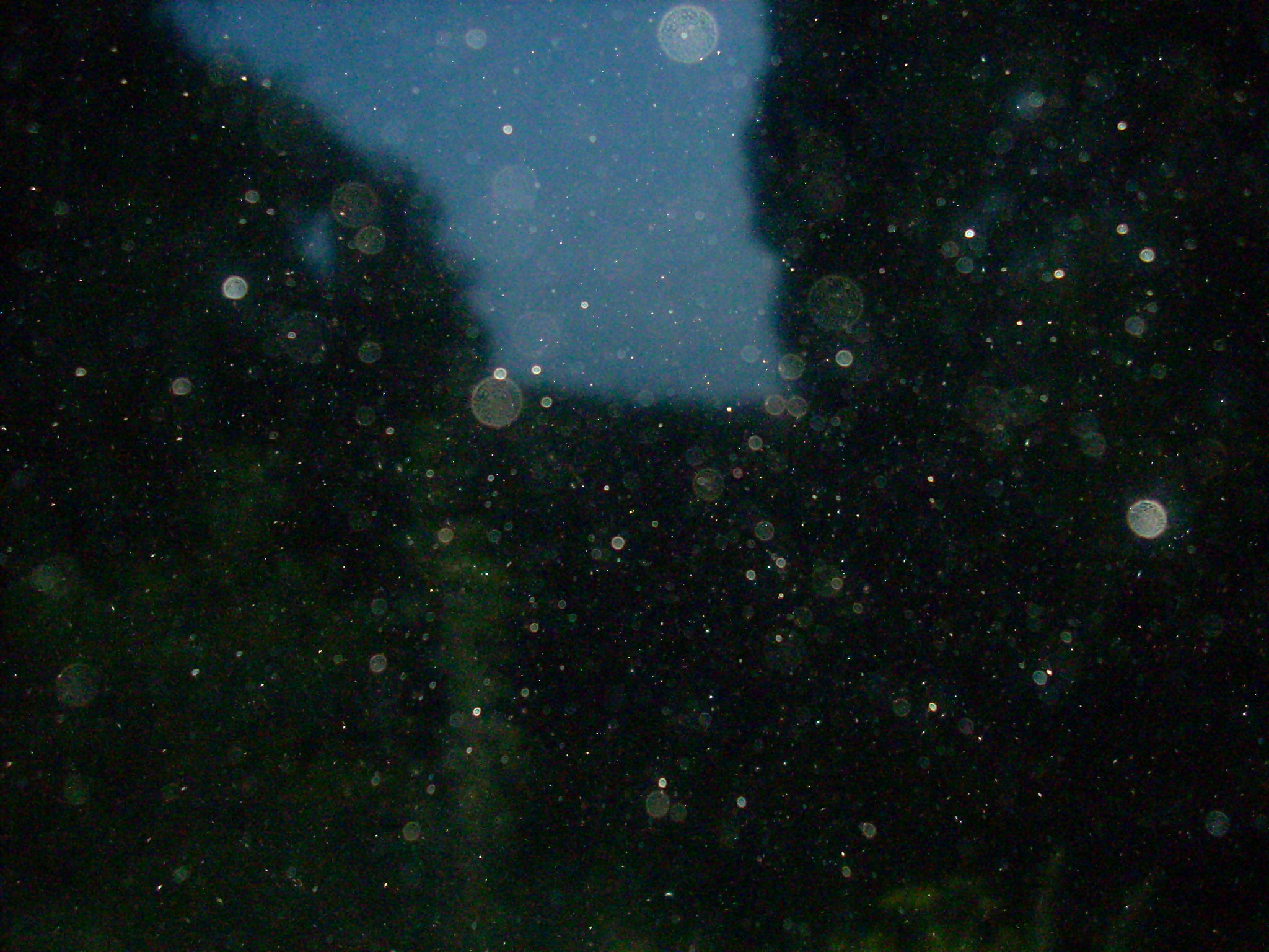 Nikon COOLPIX L10 sample photo. ддддддд photography