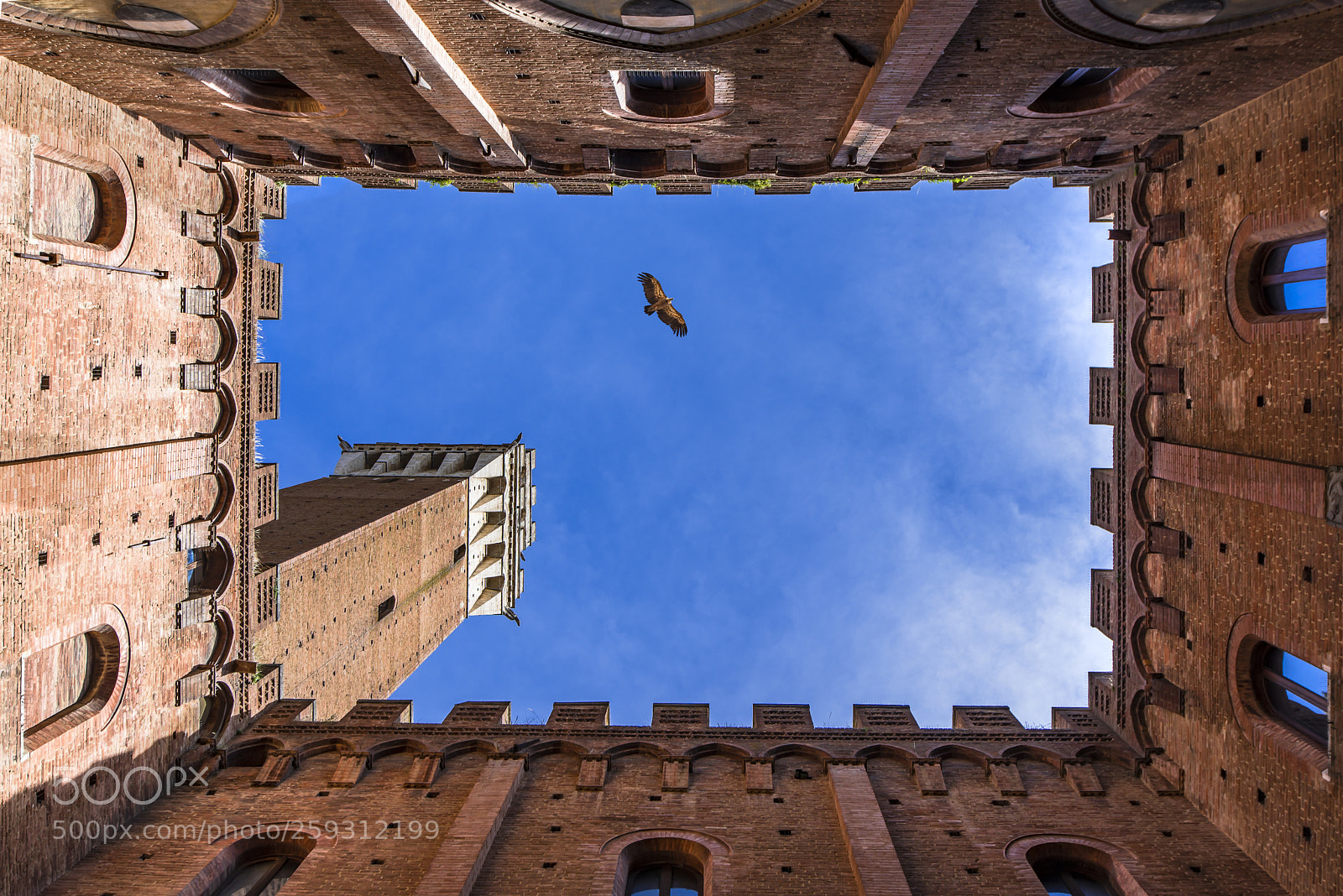 Nikon D750 sample photo. Up to sky photography