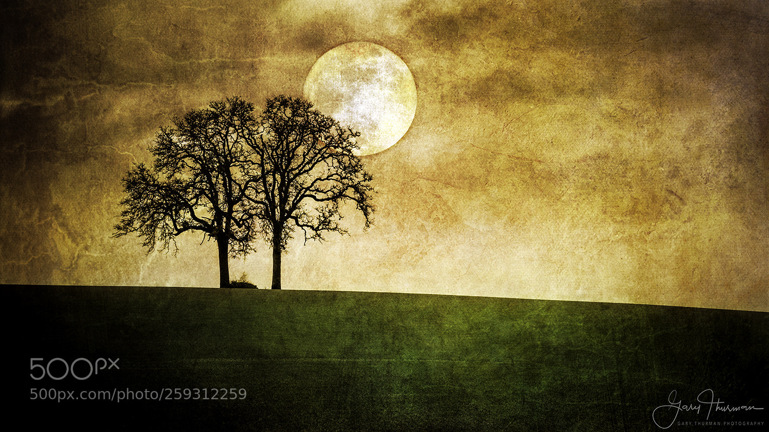 Canon EOS 7D Mark II sample photo. Harvest moon photography