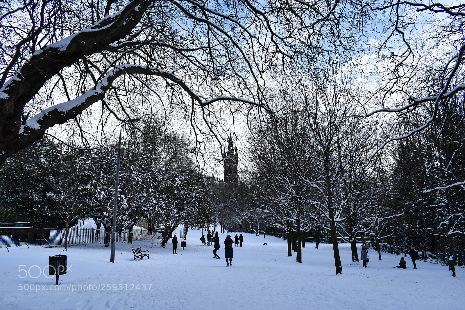 Nikon D5600 sample photo. Snowy kelvingrove park photography