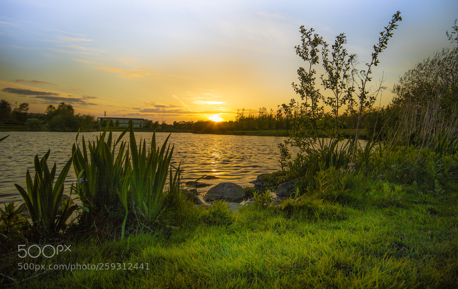 Canon EOS 760D (EOS Rebel T6s / EOS 8000D) sample photo. Sunset photography