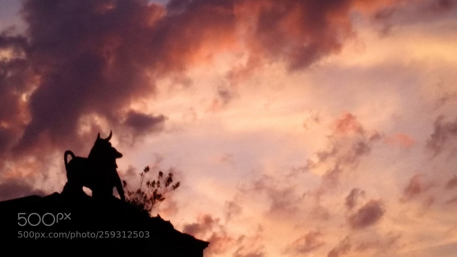 Samsung Galaxy S5 sample photo. Sunset in rome photography