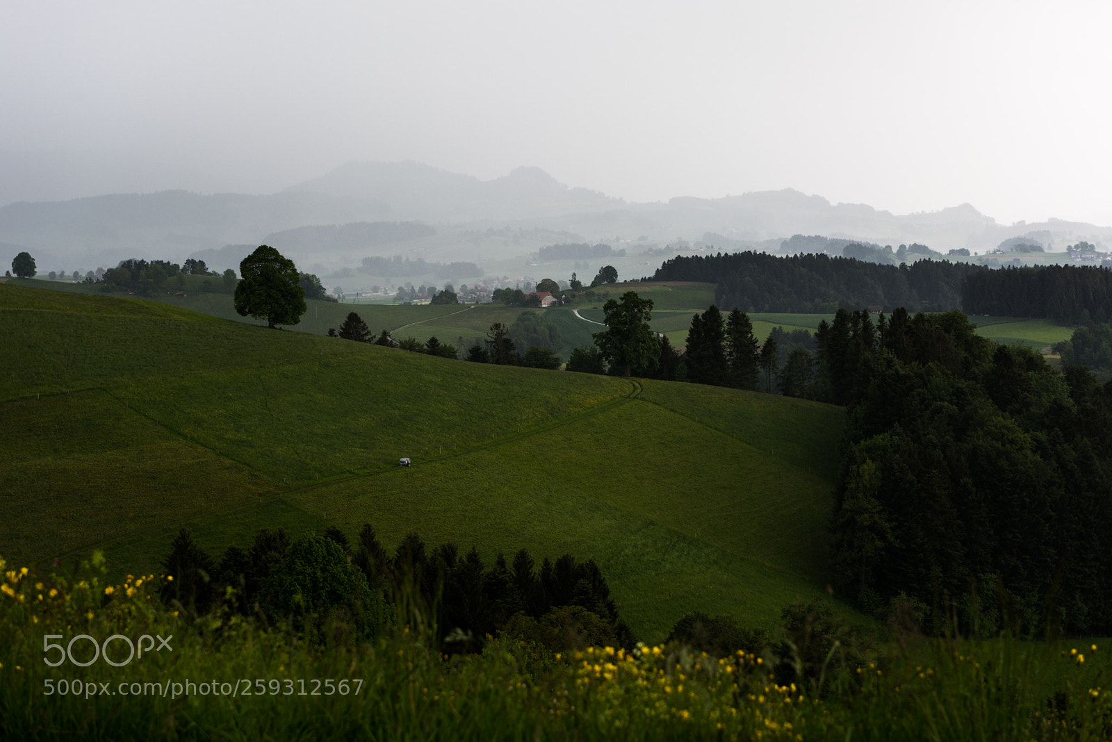 Nikon D810 sample photo. Rainy day iii photography