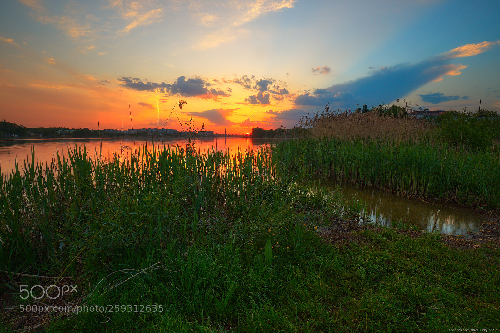 Nikon D610 sample photo. Evening light photography