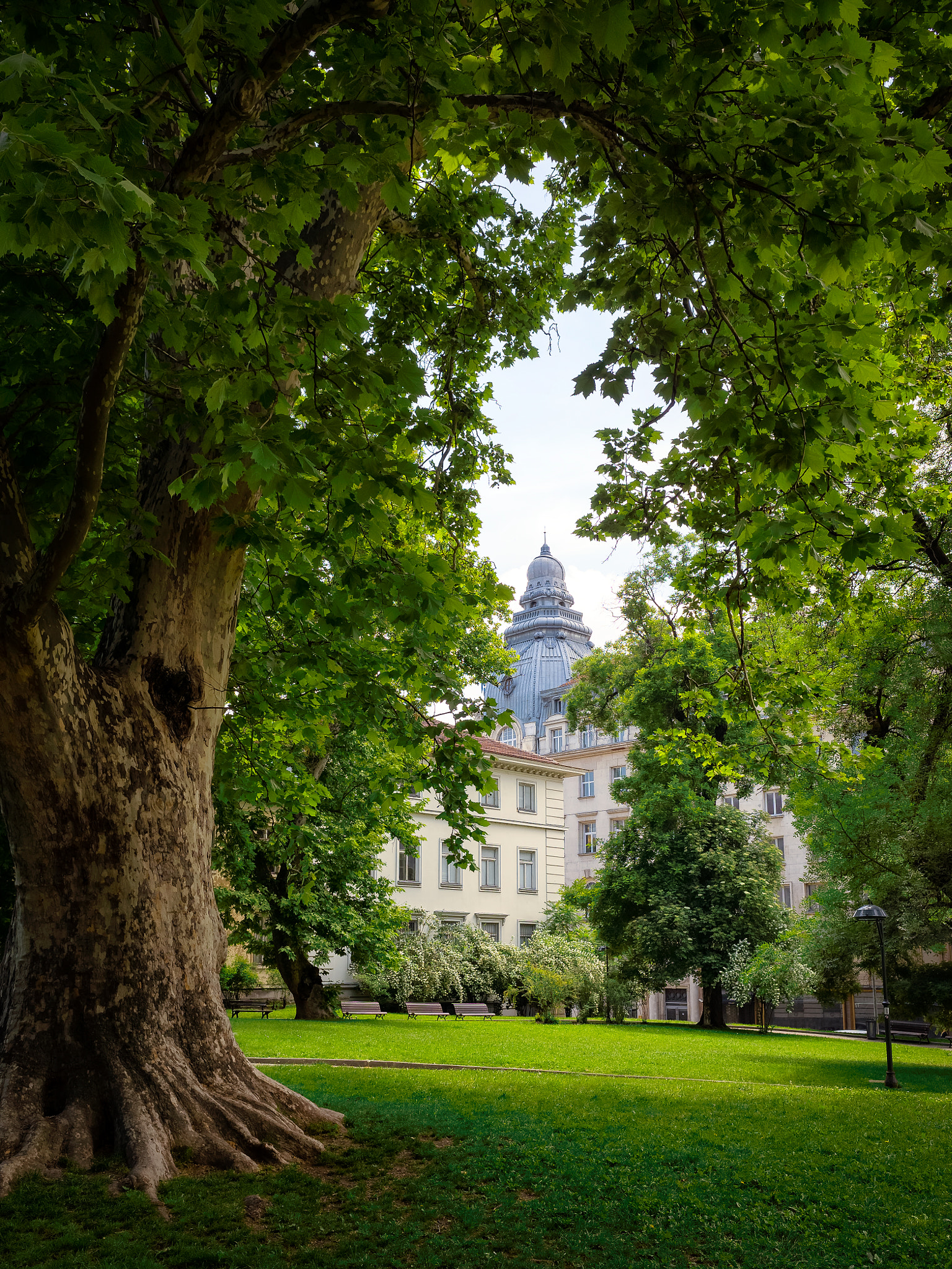 Ricoh GR sample photo. Bulgaria, sofia, university park framed between trees photography