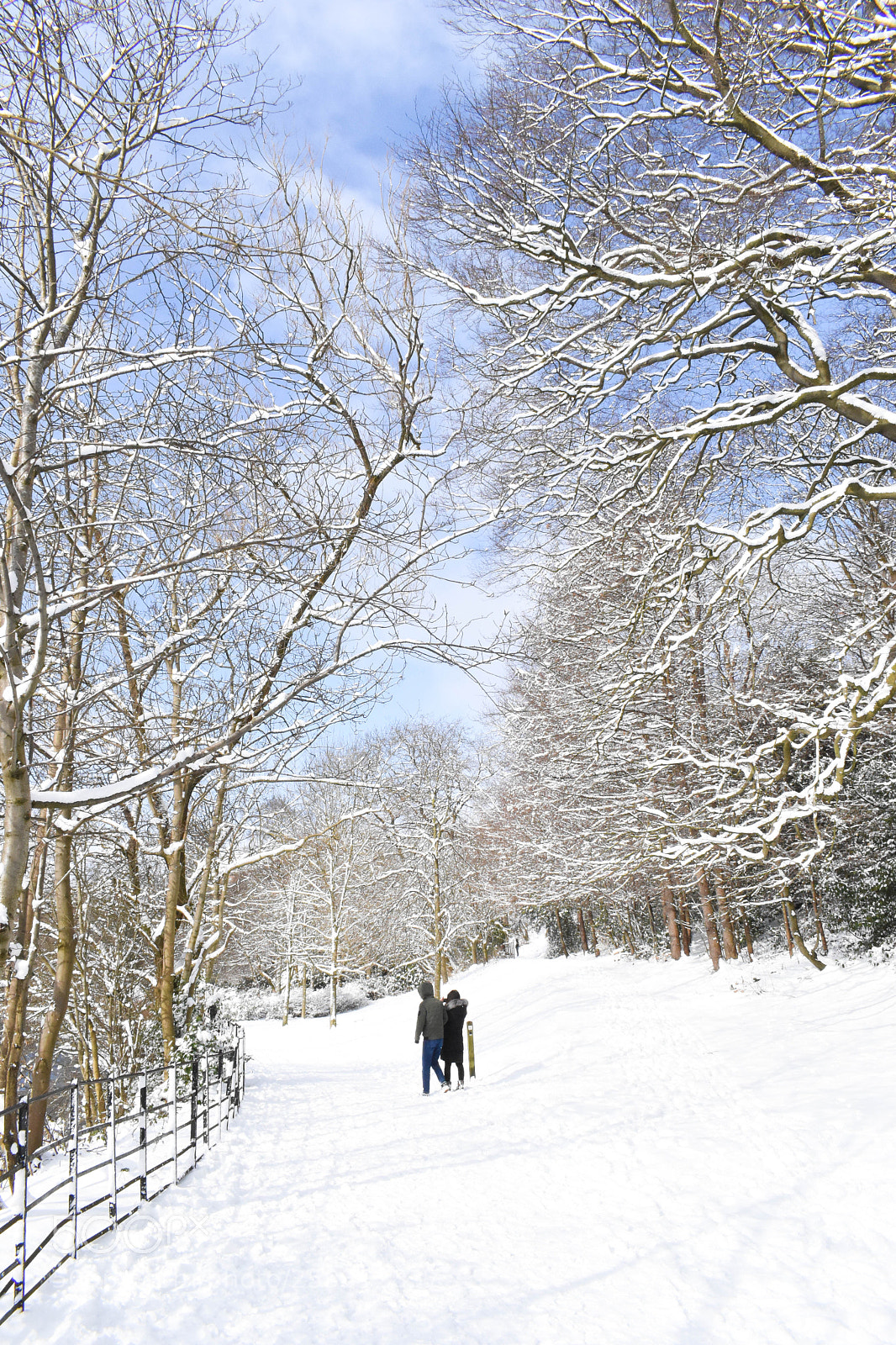 Nikon D5600 sample photo. Couple in the snow photography