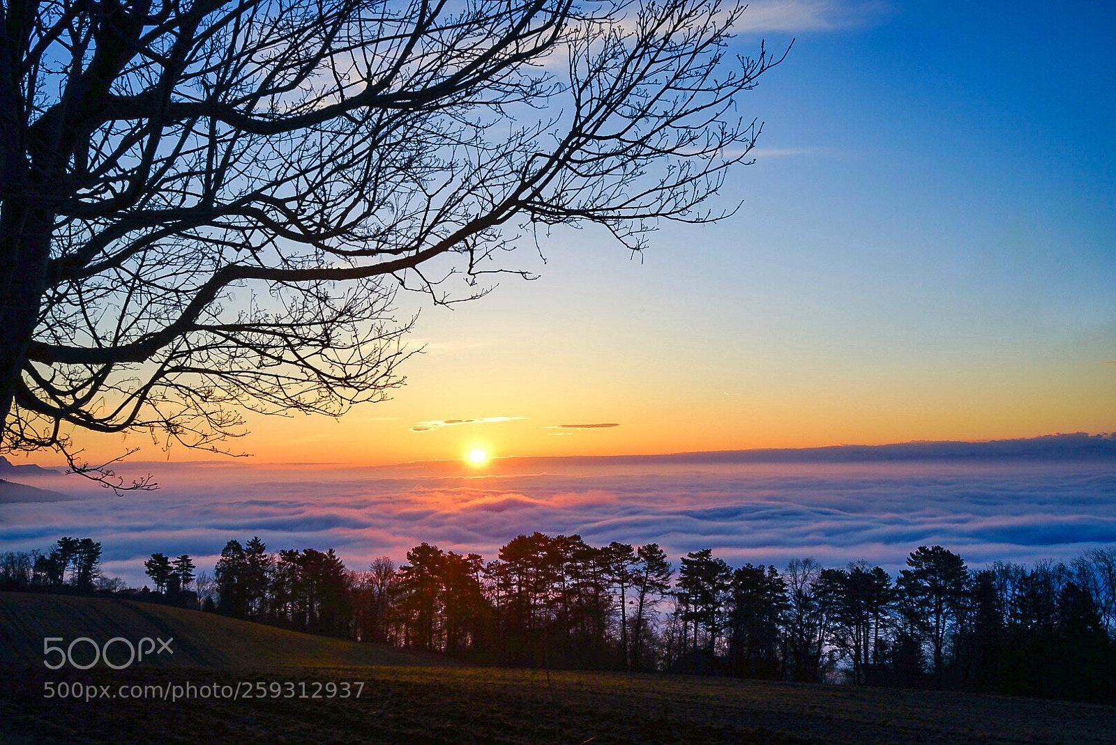 Sony a7 II sample photo. Sonnenaufgang über dem nebelmeer photography