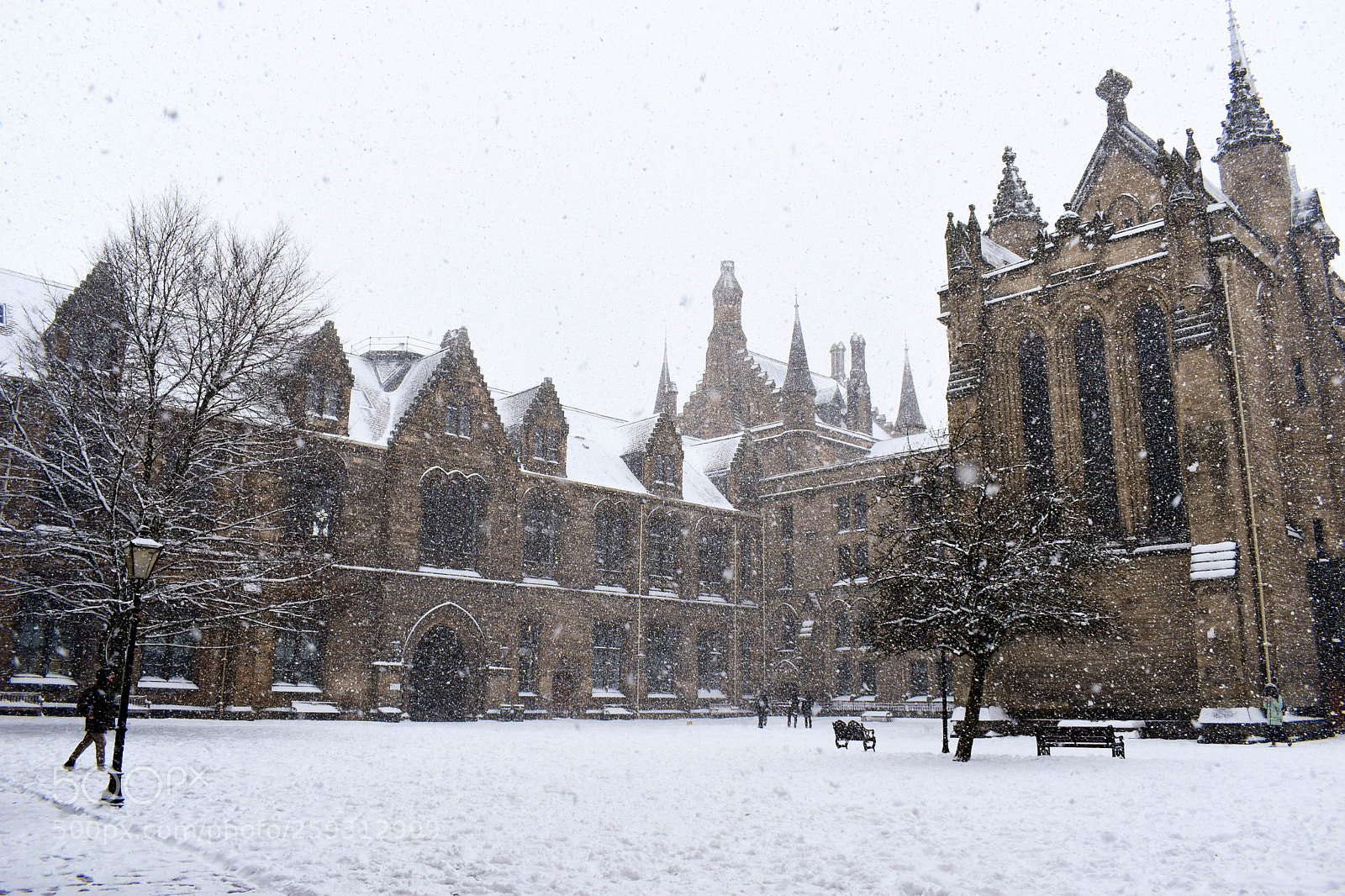Nikon D5600 sample photo. Snowfall on the university photography